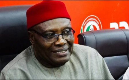 JUDGMENT: Wabara takes over leadership of PDP
