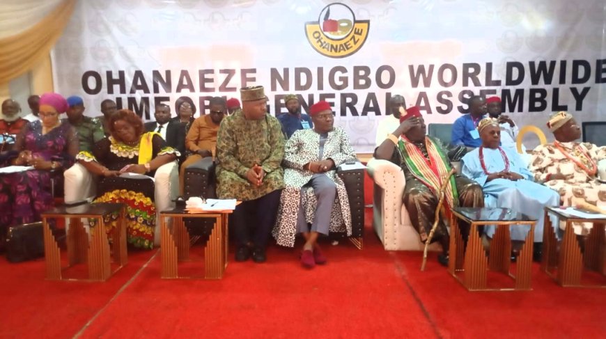 Ohanaeze proscribes 'Eze Ndigbo' diaspora titles, says Kanu's jail, imprisonment of Ndigbo