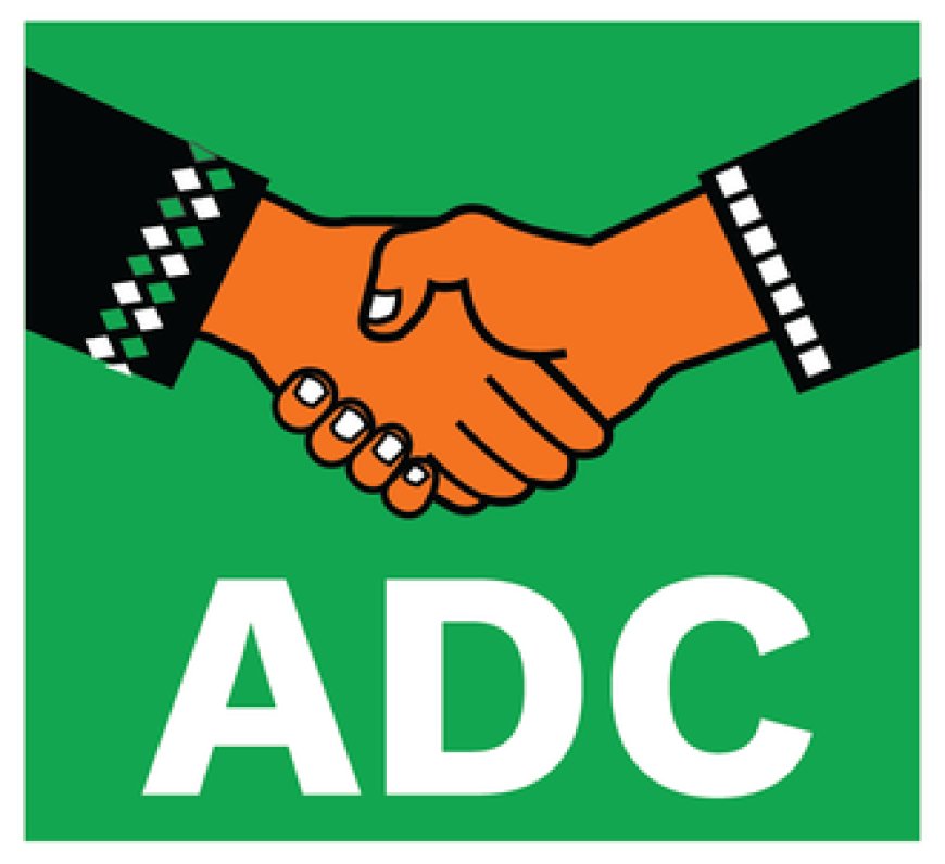 Enugu ADC Factions Must Unite To Win Or Perish - SKC Ogbonnia