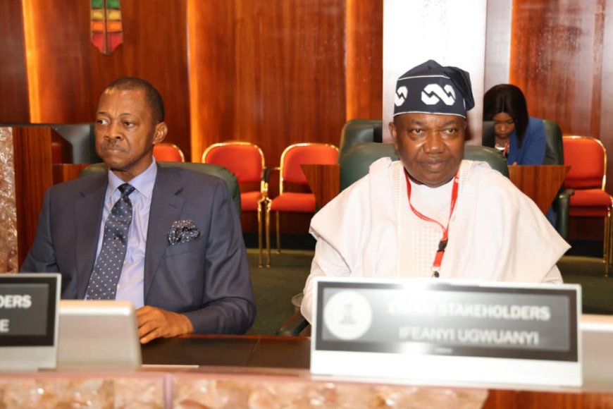 Gov Mbah, Stakeholders Assure Tinubu of Enugu re-election votes