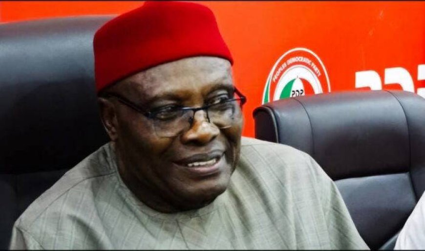 JUDGMENT: Wabara takes over leadership of PDP