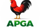 Over 163 APGA Aspirants Weigh Consensus Option Ahead of Anambra Primaries