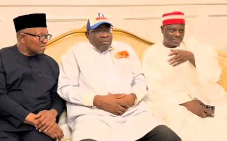 VIDEO: Watch moments Peter Obi, Kwankwaso joined NDC on Sunday