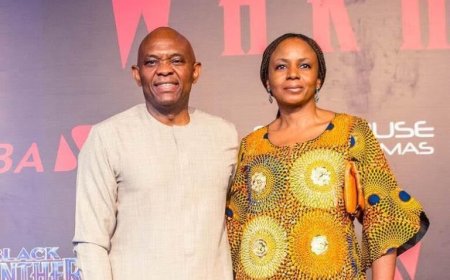 Sowore slams police for arresting bloggers over Elumelu divorce report