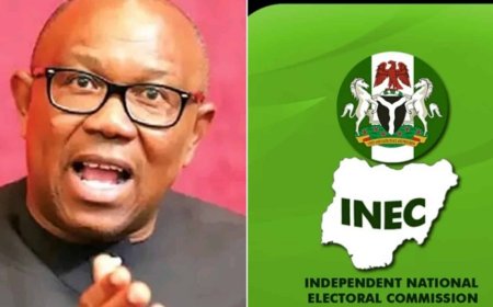 How INEC blocked Peter Obi from registering own party