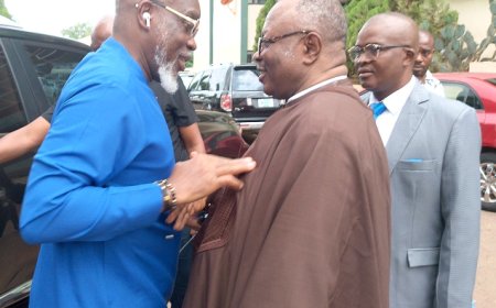 Gov. Mbah Charges Professionals On Ethical Conduct