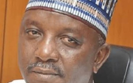 N31bn Fraud: Court Revokes Ex-Power Minister, Saleh Mamman's Bail, Orders His Arrest