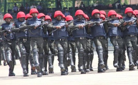 Nigeria, US Forces Kill Top ISIS Commander in Lake Chad Strike