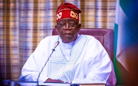 Presidency Debunks Claims of Planned Renaming of Nigeria, Sharia Law Abolition