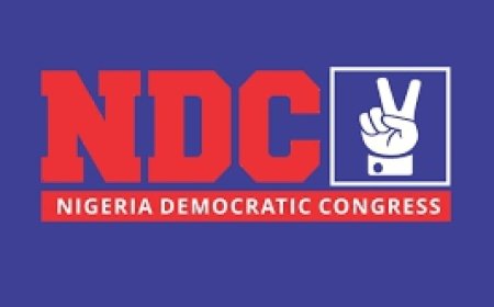 2027 TSUNAMI: Why S/East, S/South NDC Must Field Candidates Who Can Win Without Peter Obi