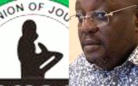 NUJ resolves alleged rift at Enugu APC primary election coverage, absolves Nnaji of blame