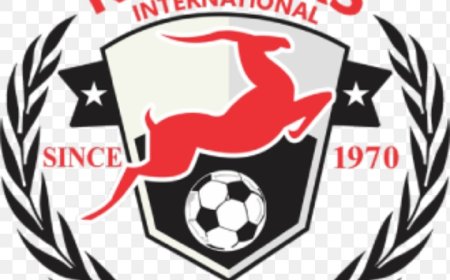 NPFL: Afrinvest gifts Rangers’ fans 300 tickets, jerseys, others