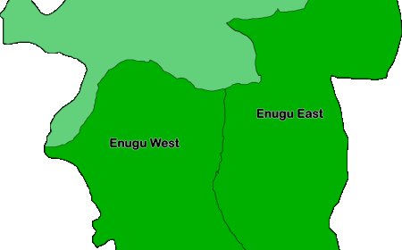 APC declares Enugu senatorial primary results as Ngwu, Chukwu, Asogwa emerge candidates