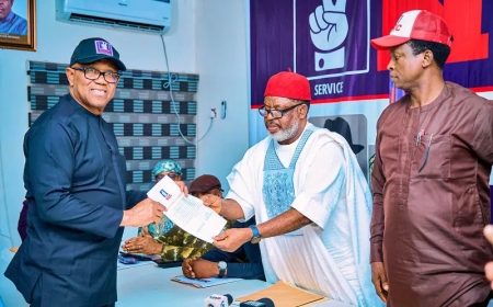 "We are not a united nation; my primary goal is to bring Nigeria together" - Obi