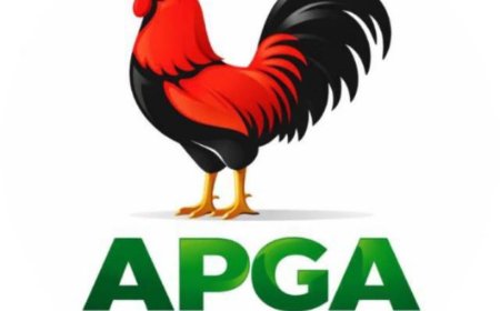 Over 163 APGA Aspirants Weigh Consensus Option Ahead of Anambra Primaries