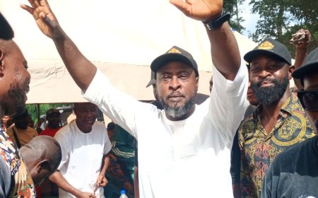 Biz Mogul Nweke Emerges PDP Enugu East Senatorial Candidate, Promises Stronger Representation
