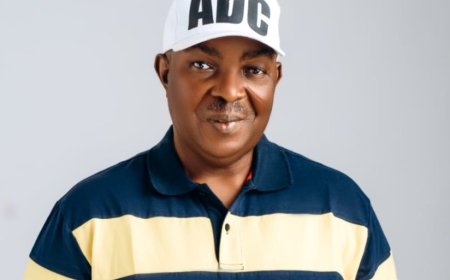 VIDEO: Benjamin Eze emerges ADC Consensus Candidate for Igboeze North/Udenu Fed. constituency