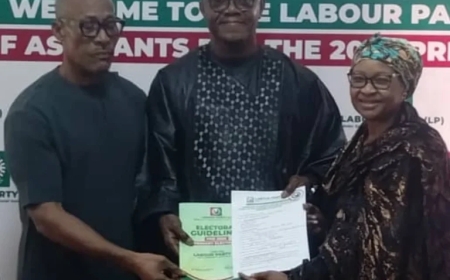 Labaran Maku, Two Others Cleared for LP Primaries After Abuja Screening
