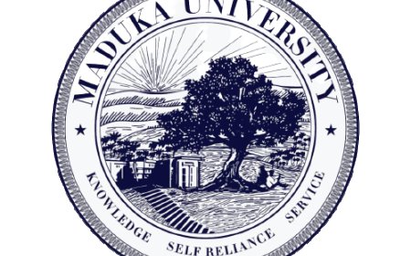 It's surprising parent uses child’s education for content creation – Maduka University responds to viral video