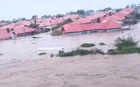 FCT Flooding: Onoh Blames Encroachment on Waterways, Urges Tinubu to Act