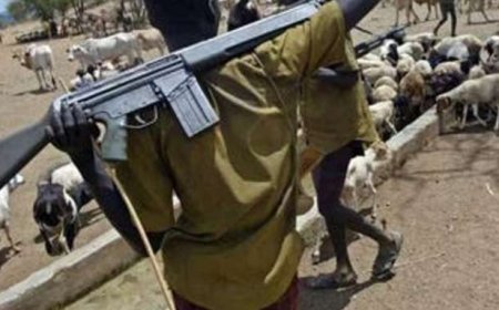 US Report Estimates 30,000 Armed Fulani Militants Operating Across Nigeria