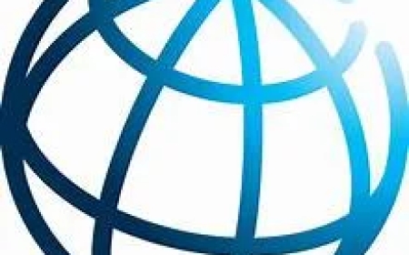 World Bank, FG Cancel $717.7m Power Sector Intervention Fund