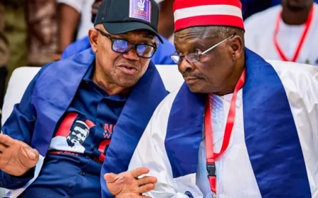 Obi, other NDC 2027 candidates emerge today as party conducts all primary elections