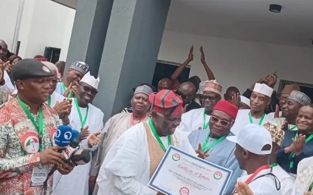 Thugs Disrupt PDP Convention, Assault Journalists as Jonathan is Named Candidate