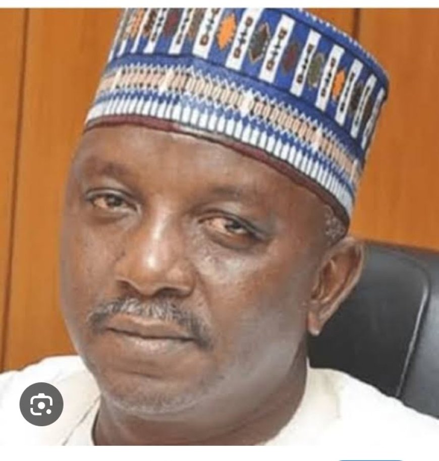 N31bn Fraud: Court Revokes Ex-Power Minister, Saleh Mamman's Bail, Orders His Arrest