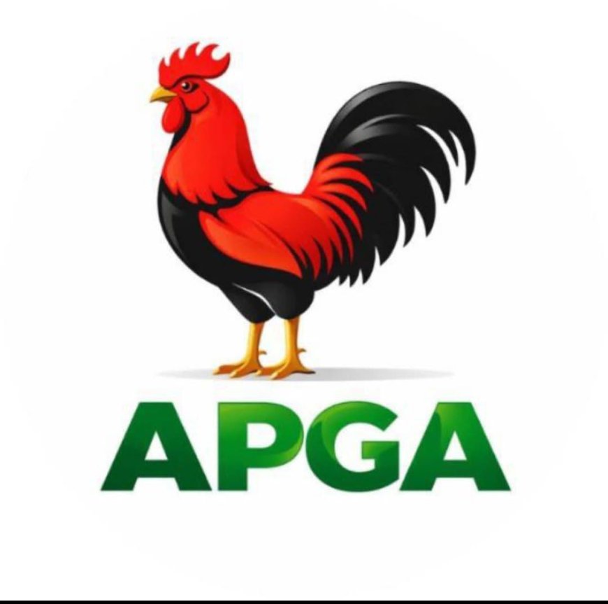 Over 163 APGA Aspirants Weigh Consensus Option Ahead of Anambra Primaries
