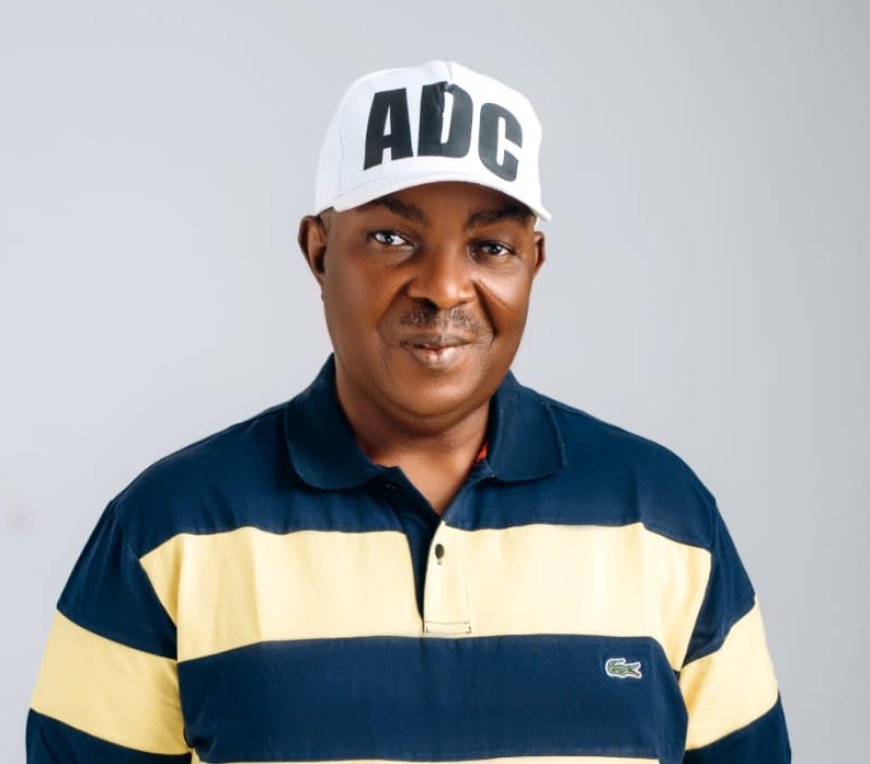VIDEO: Benjamin Eze emerges ADC Consensus Candidate for Igboeze North/Udenu Fed. constituency