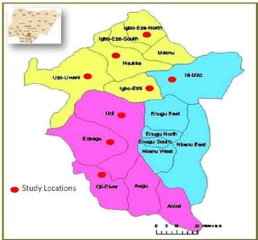 Tension in Enugu Community Over Planned Traditional Ruler Election Amid Court Cases