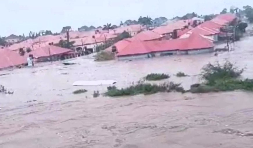FCT Flooding: Onoh Blames Encroachment on Waterways, Urges Tinubu to Act