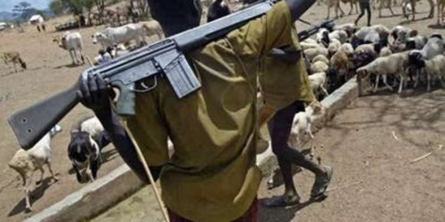 US Report Estimates 30,000 Armed Fulani Militants Operating Across Nigeria