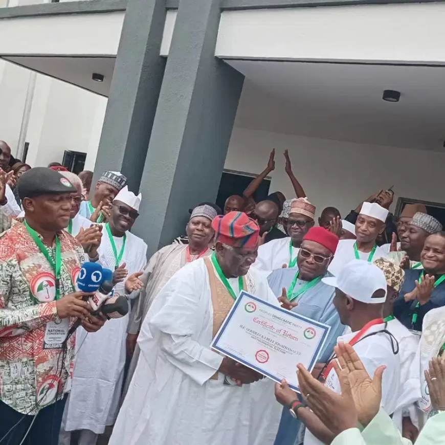 Thugs Disrupt PDP Convention, Assault Journalists as Jonathan is Named Candidate