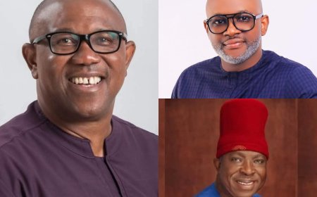 Intense Pressure Mounts on Peter Obi as New Faces Shake Anambra NDC Structure