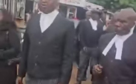 NBA Lawyers Protest Abandonment of Courts in Enugu North, Threaten Boycott of Virtual Hearings