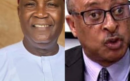 2027: APC Chieftain Faults Utomi, Says Parallel Election Results Undermines INEC's Mandate, Endangers Democracy