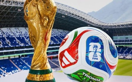 Xenophobia: Onoh Urges Africans to Back Mexico Against South Africa in World Cup Opener