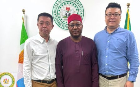 Rep Nnamchi Holds Investment Talks with Singaporean ICT, Healthcare Investors