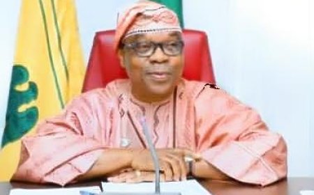 Onoh Condemns Minister of State, Enikanolaiye's Remarks on Xenophobic Attacks in South Africa