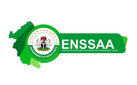 ENSSAA Begins Statewide Clampdown on Illegal Billboards After Enugu North By-Election