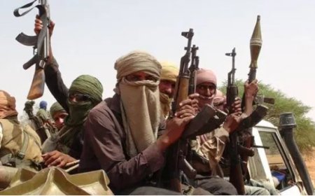 US Names Nigerian Man, 3 Nigerian Firms for Alleged ISIS Financing