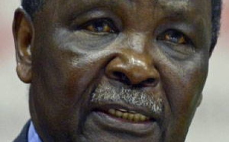 General Yakubu Gowon And The Tale Of The Bullet Marks On Trees