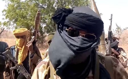 JUST IN: Bandits Attack Borno School During NECO Exam, Abduct Students, Kill Teacher