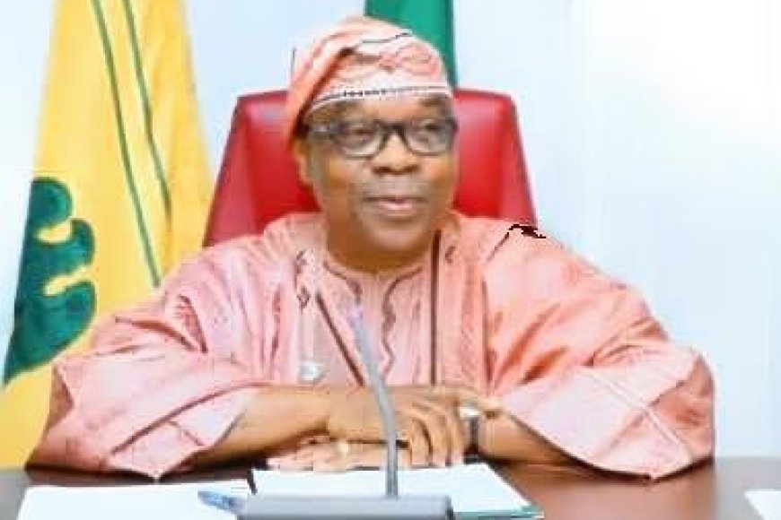 Onoh Condemns Minister of State, Enikanolaiye's Remarks on Xenophobic Attacks in South Africa