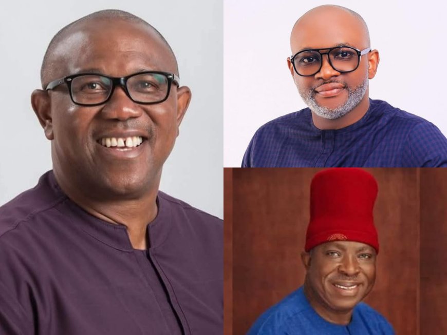 Intense Pressure Mounts on Peter Obi as New Faces Shake Anambra NDC Structure
