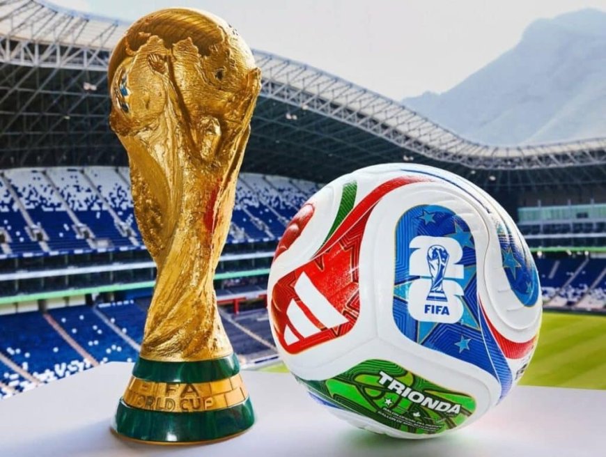 Xenophobia: Onoh Urges Africans to Back Mexico Against South Africa in World Cup Opener