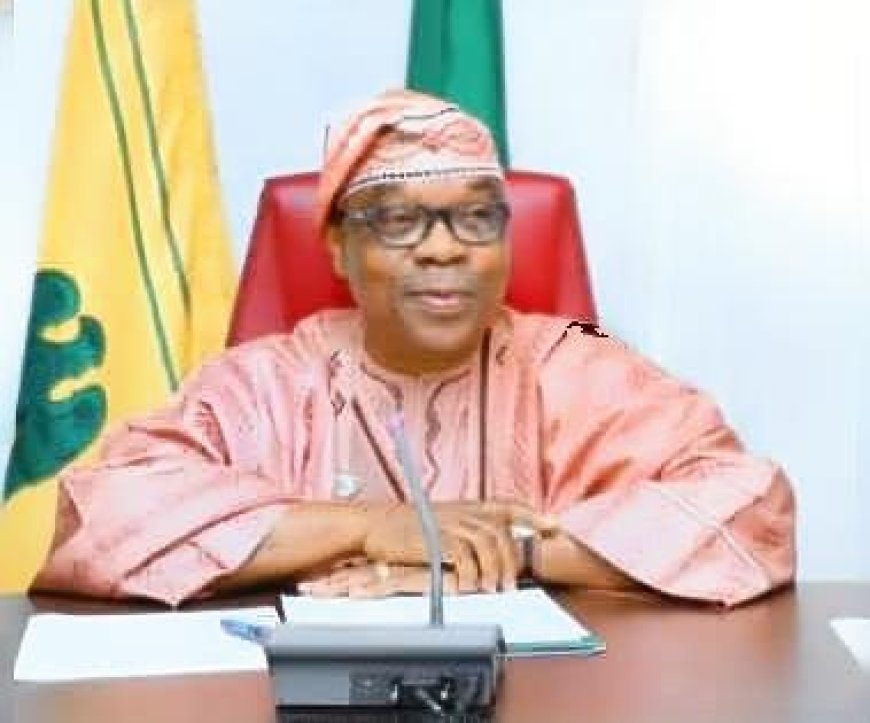 Onoh Condemns Minister of State, Enikanolaiye's Remarks on Xenophobic Attacks in South Africa