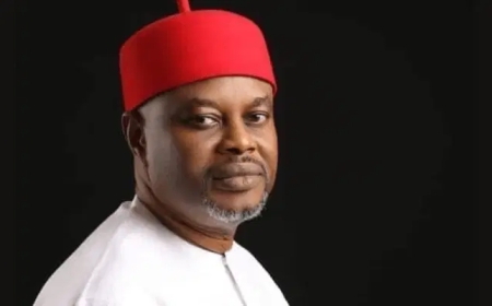 PDP Guber Candidate, Uche Nnaji arrested at Abuja Airport